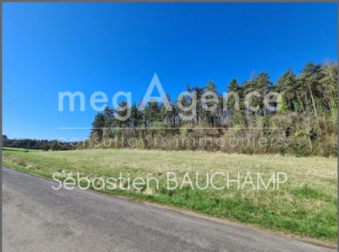 Breathe the countryside.. Such a sweet elixir! Become the owner of beautiful land in a natural and green environment. It consists of a beautiful meadow of 3,262m² as well as a wooded plot of 14,350m². This property is intended for nature lovers and l...