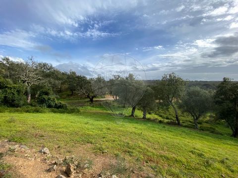 Estate with ruin located in Melides inserted in an urban land and rustic part with 3.6 hectares with total privacy, 2 minutes from the center of the village of Melides and 5 minutes from the Lagoon and the beach of Melides. The property has a constru...