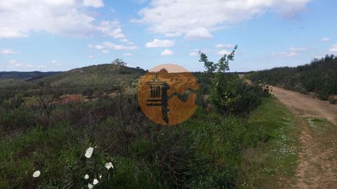 Rustic land with 35.640m² near the Guadiana River and the Vascão river, 5 km north of Alcoutim. It has some slopes and the dirt road crosses it in longitude. Very good access. In much of its area this terrain is sloping, but has some flat areas. Loca...