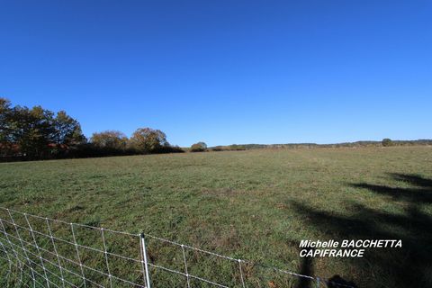 Dpt Haute Garonne (31), à vendre MONTREJEAU terrain