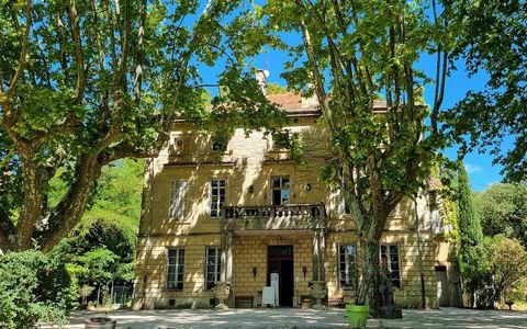 At the heart of a wine estate of around 75ha, this 17th century château in Provence in the Napoleon III style, adorned with a sumptuous alley of centuries-old plane trees and a magnificent walled park, is an exceptional property located on the edge o...