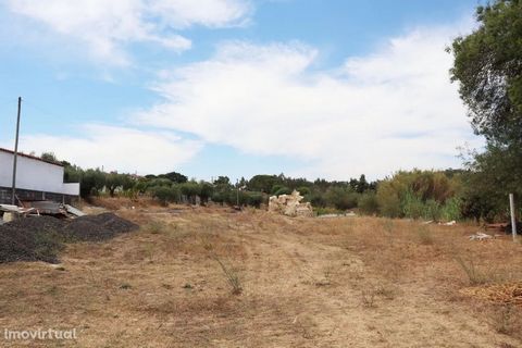Land with Approved Project! If you are looking for a land to build your dream property this is the perfect opportunity, with excellent accessibility! This land located in Tomar more properly in the parish of Asseiceira, about ten minutes from the cen...