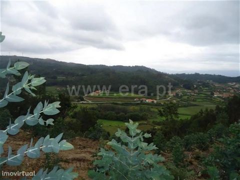 Land intended for planting; Total area of 18,700m2; Water mine; Good access