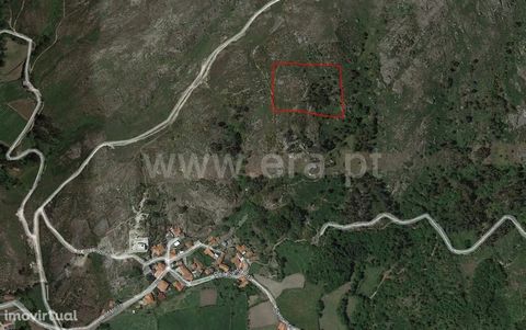Rustic land with 9,424 m2 in Queimadela Land with 9,424 m2 in place of Santa Cruz, parish of Queimadela, ideal for forest plantations, with good sun exposure. Union of parishes of Monte and Queimadela The parish of Monte is located geographically on ...