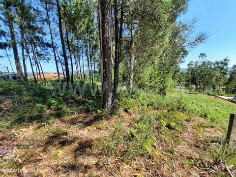 Land for construction with 900 m2 in Vinhós Land for construction with: 900 m2 near the center of the parish of Vinhós, good access, great sun exposure, location on top with great views. Parish of Vinhós It is one of the smallest parishes of the muni...