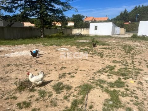 TO SEIZE, Land of 607 m2, entirely enclosed by walls, in the immediate vicinity of the village center of Vairé with its shops, in a nicely wooded and very quiet area. This land is located 7 km from the first beaches and only 12 km from Les Sables D'O...