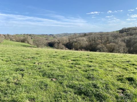 On the heights of Saint Aulaire with a panoramic view, plot of building land of about 3000m2 including a buildable part of about 1500m2. Ideal for single-storey construction. Countryside environment with individual assistance to be provided.
