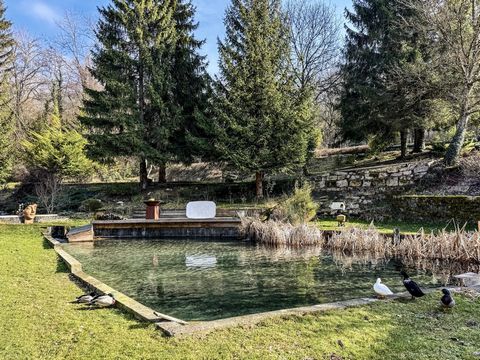In the Lac d'Aiguebelette region, 30 minutes from Chambery and 50 minutes from Lyon Saint-Exupéry airport, this unique property is set in 8.6 hectares with no neighbours or neighbours to be seen. Continuous spring water throughout the year feeds the ...
