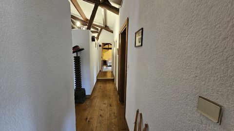 photo no. 17