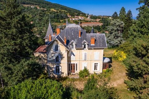 Discover 'Le Domaine des Soyeux,' a magnificent residence located in the heart of the Pilat Regional Natural Park in Saint-Julien-Molin-Molette. This 597 sq m property, set on a 16,798 sq m plot, offers peace and privacy, with a swimming pool and no ...