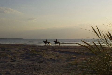 Het vakantieappartement ligt in een rustige omgeving aan de rand van het bos. Het strand kan te voet in ongeveer 5 minuten worden bereikt en een winkelcentrum, het stadscentrum en diverse restaurants zijn in ongeveer 3 minuten te bereiken. Het vakant...