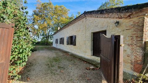 photo no. 2