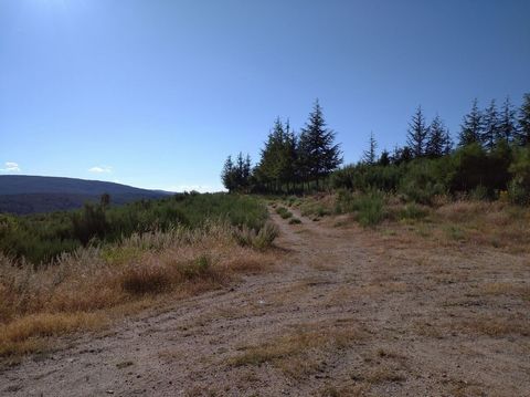 Kabeljauw. toestel 7084 BOERDERIJ IN DE BERGEN AAN DE RIVIER, voor een off-grid leven De 'Quinta da ribeira do Quécer' ligt op de top van de Serra de Famalicão, in een beschermd gebied van het Serra da Estrela National Park. Te midden van paden en vo...