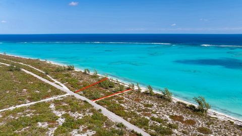 Entdecken Sie Ihre nächste große Investitionsmöglichkeit am Bambarra Beach, Middle Caicos, einem der faszinierendsten und kulturell reichsten Reiseziele der Turks- und Caicosinseln. Bambarra Beach wurde kürzlich von USA Today's 10Best Reader's Choice...