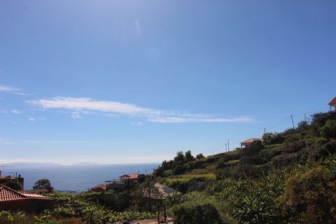 Fantástico terreno em Gaula numa zona com excelente exposição solar. A localização tranquila e pacífica deste terreno oferece a possibilidade de ter a sua propriedade agrícola fora de todas confusões citadinas. Se opta por estar numa zona relaxante e...