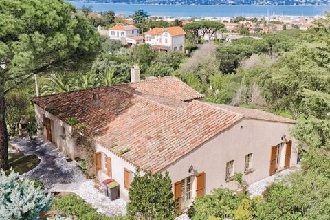 Land 2500m² open en dominante, provençaalse bastide stijl villa te renoveren met uitzicht op de zee, de heuvels en de daken van St Tropez. Groot potentieel voor dit project !!