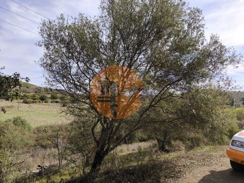 RUSTIC LAND WITH 680 M2 - WITH TREES - FLAT - JUNQUEIRA - CASTRO MARIM - ALGARVE Rustic land with 680 m2 - close to Junqueira - Beliche - Castro Marim - Algarve. Flat terrain. With good access. With some trees. It has a panoramic view of the Algarve ...