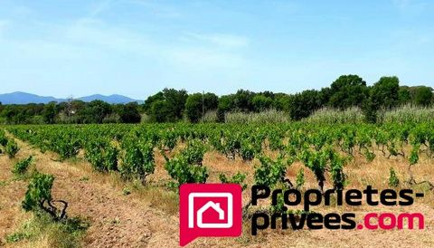 A la campagne tout en étant proche des commodités, propriété viticole comprenant, 5 hectares de vignobles 