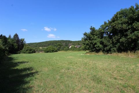photo no. 2