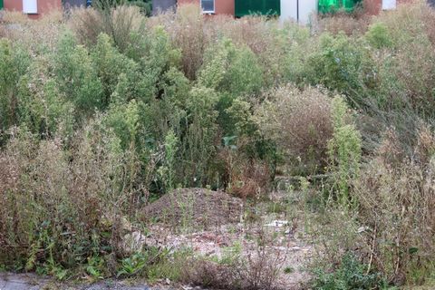 Opportunité à saisir sur la commune d'Haulchin, situé dans une impasse calme, terrain de 1222 m² (eau, gaz, électricité). Haulchin, village tranquille situé à 5 minutes des autoroutes, proximité Valenciennes, écoles, commerces, médecins, et collège à...