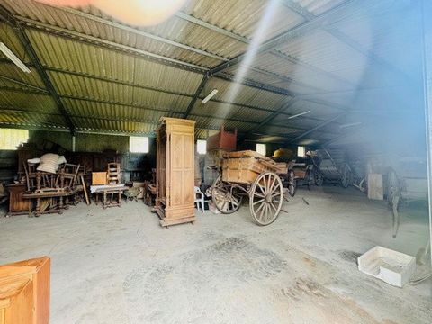 photo no. 2