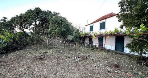 Are you looking for a typical Madeiran house with two haystacks and a plot of 3140 m²? This is your opportunity. Typical Madeiran house set in a plot of 3140 m ² with two haystacks. The land has fruit trees from avocado, banana, anoneiras, among othe...