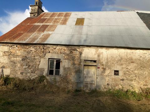 photo no. 4