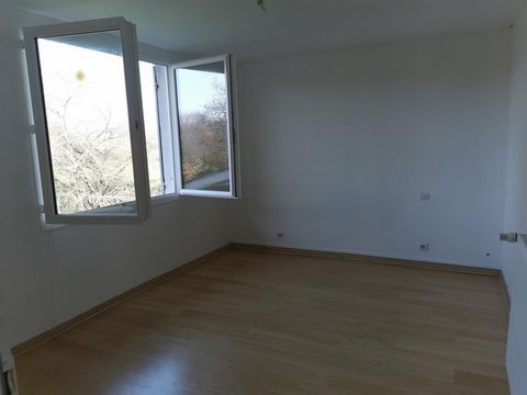 photo no. 11