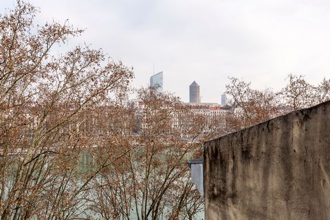 photo no. 19