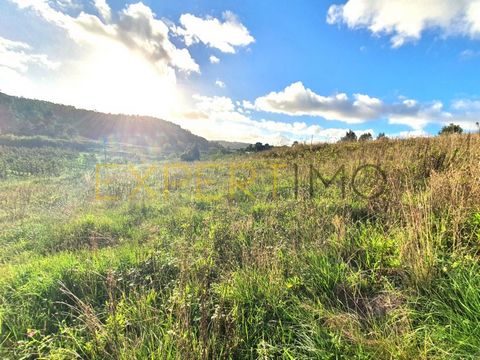 COD. EXT. 7093 Land with 4040 m2, with 2100 m2 inserted in level 3 urbanizable space, allowing the construction of up to 601 m2. Land with beautiful views and excellent sun exposure. Located just 7 minutes from the city of Caldas da Rainha, Óbidos Ca...