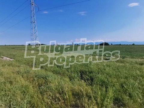 For more information call us at ... or 032 586 956 and quote the property reference number: Plv 78918. Responsible broker: Petar Petalarev Regulated plot of land in a village part of Maritsa municipality, 12 km from the second largest city in the cou...