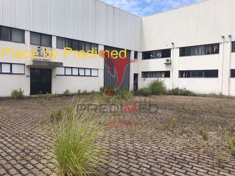   WAREHOUSE with 6 570m2 located in the Industrial Zone of Milheirós - Maia; - Positioned next to Av. Main industrial zone; - Patio with 1910m2; - All walled with reception and concierge; - Office and social area with three floors and elevator; - Two...