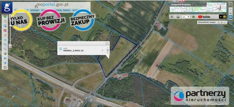 Lote de terreno não urbanizado com uma área de 42.400 m2 A propriedade está localizada em Wilenko, Comuna de Szczaniec, Distrito de Świebodzin, Voivodia de Lubuskie, a cerca de 8 km de Świebodzin, a 21 km de Międzyrzecze enquanto o posto fronteiriço ...
