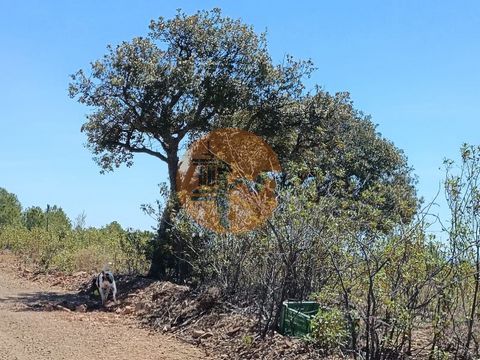 Grundstück mit 4.520 m2, in der Nähe von Corte do Gago in Castro Marim - Algarve. Guter Zugang durch Asphalt. Land mit flachen Teilen. Land hat hervorragende Sonneneinstrahlung, mit einigen Bäumen. Ruhige und friedliche Lage mit ausgezeichnetem Panor...