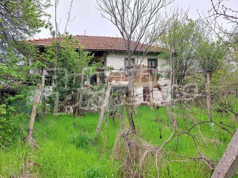 For more information call us at ... or 02 425 68 57 and quote property reference number: VT 81591. Responsible Estate Agent: Gabriela Gecheva We offer for sale a rural property located in the village of General Toshevo, located at the foot of the Mon...