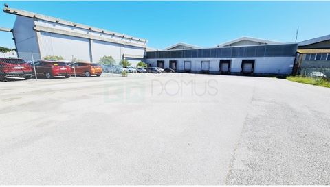 Set of nine buildings integrated in an industrial complex fenced throughout its perimeter, with private security based on the concierge and electronic surveillance. The main industrial ship, about 17,000m2, with variable right foot between 8 and 14 m...