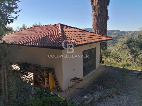 Rustic for sale in Ogliastro Cilento of about 55 square meters and 10,000 square meters of surrounding land partly cultivated with olive groves. The property has an independent entrance with direct access from the street, the apartment is on one leve...