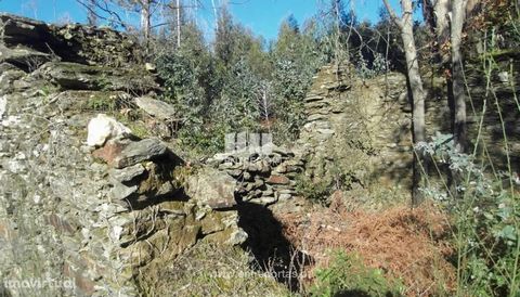 Sale of Stone House, Meixedo, Viana do Castelo. House in stone for restoration, inserted in a land with a total area of 3,723 m². Located in a quiet area. Ref.: VCC12747 * FEATURES: Land Area: 3 679 m2 Area: 3 723 m2 Used Area: 44 m2 Energy Efficienc...