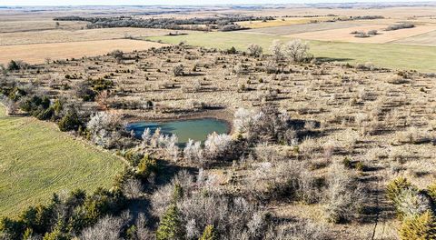 The Wabaunsee Whitetail Haven provides the perfect opportunity to own a slice of excellent deer habitat in the heart of the Kansas Flint Hills. Offering 158 +/- acres of productive hay ground, heavily wooded pasture, a pond, thicketed field edges, an...