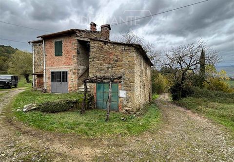 POPPI (AR): Farm of about 23 hectares with three independent farmhouses divided into: 23 hectares of land of which: - 13 hectares approx. of arable land, part flat and part gentle hillside; - approximately 10 hectares of coppice woodland; Three farmh...