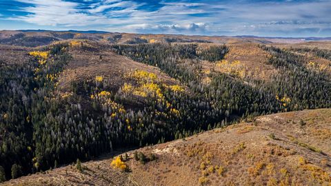 Welcoming Pine Haven Ranch, a high-country gem that is sandwiched between BLM lands and is located in the heart of Garfield County! Whether you are an avid hunter or recreationist, Pine Haven Ranch has everything you need! Featuring diverse topograph...