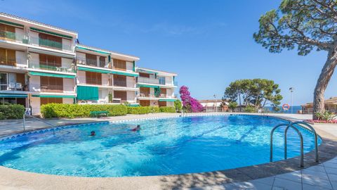 Apartment (80 m2) located in Calella de Palafrugell, 200 m from the beach and 300 m from the center. On the 2nd floor without a lift. In a complex with a shared pool and gardens. In the northeast of the Iberian Peninsula, a most perfect mix of colors...