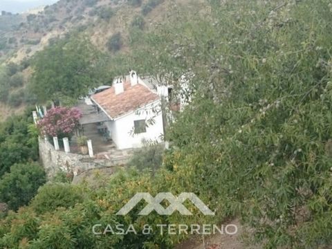 If you are looking for a finca in a quiet area, with the charm of an old Andalusian cortijo, surrounded by nature and pollution-free pure air, with the Natural Parks of Las Sierras de Tejeda, Almijara and Alhama right behind the house, and where you ...