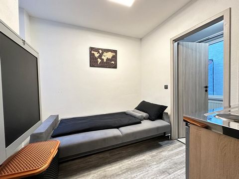 About the apartment: The approx. 15 m² apartment is located in a quiet side street not far from the Mühlheim Dietesheim S-Bahn station. The apartment has just been modernized, renovated and newly furnished. The apartment has a comfortable sofa bed fo...