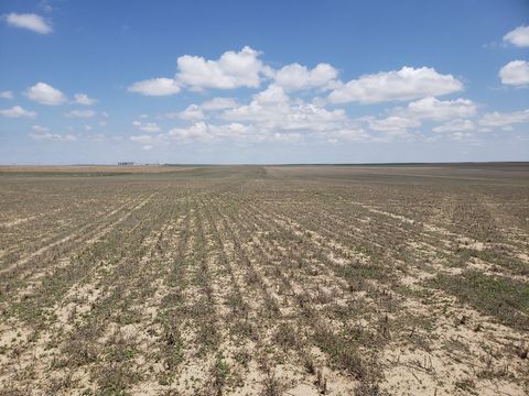 Wright's Farm and Ranch Parcel 13-B is a 320 +/- acre parcel of dryland farm ground. This parcel has a crop share lease for the 2023 crop season with the owner's share going to the Buyer. This parcel would be a great opportunity to add to your invest...