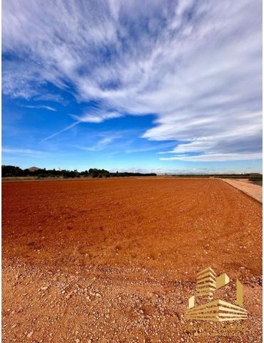 Quatre Torres has for sale EXCLUSIVELY a plot of rustic land in CATARROJA. Looking for something to invest in? We present this fantastic plot on rustic land of 3.9 hectares just 5 minutes from Catarroja. Plot ready for cultivation, has irrigation wat...