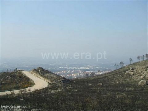 Land with area of 4,383m2; Good access; Good sun exposure