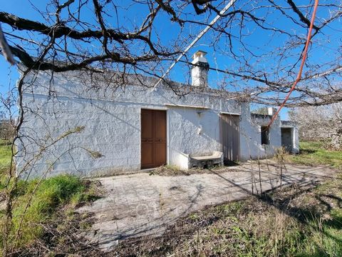 We present an investment opportunity in the heart of the Puglian countryside, a short distance from the historic city of Oria: a charming country house awaiting personalisation and renovation, set on a lush agricultural plot of approximately 10,525 s...