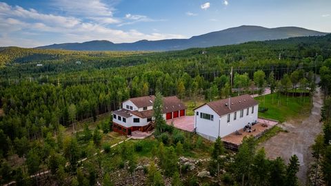 ~TURNKEY~ Conifer Estate Home and Studio have open floor plans with approximately 7,500 sq ft of living space - 5-acres of land. The home has a First Floor, Second Floor, and Walk-Out Basement Level. Studio Building has a 6-car garage on the ground l...