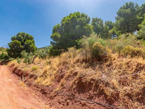 Plot of 2173 square meters, in Ardales. This plot has its own entrance and a olive plantation. The water for this plot comes from a spring in the mountains of Alcaparain, and has a water deposit with a capacity of 75.000 liters that supplies several ...